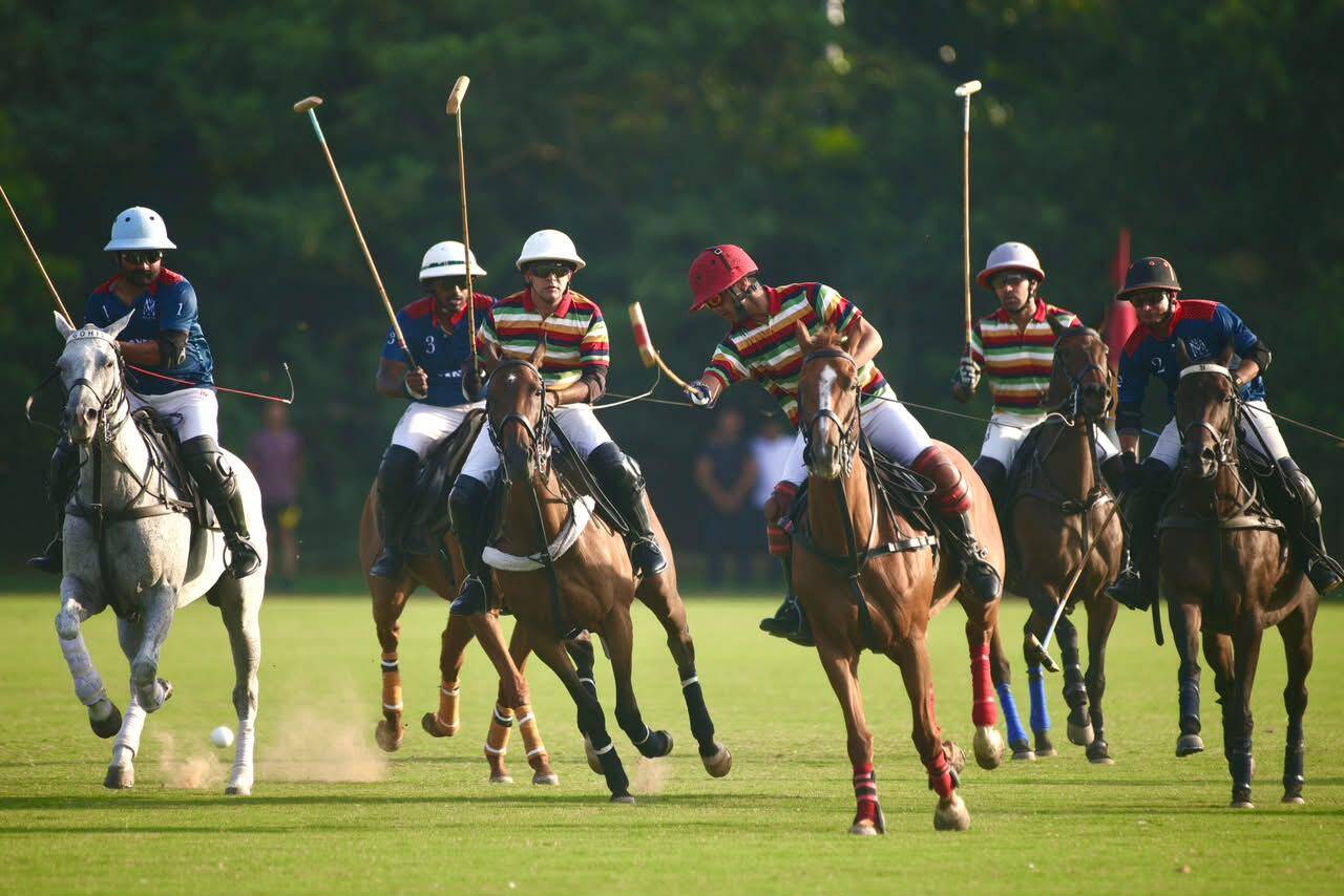 Polo-4.jpeg
