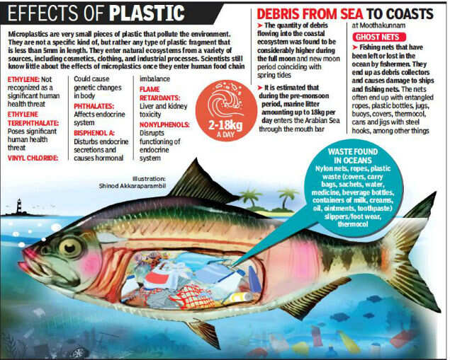 Kerala Plastic in fish a cause for concern Kochi News Times of India