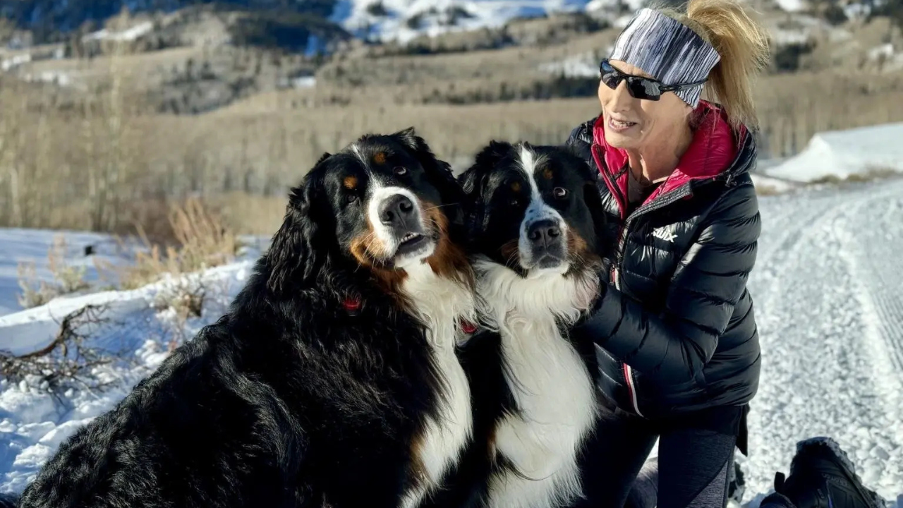 <br>Susan Fredston-Hermann with her two Bernese Mountain dogs, Sasha and Mocha. (Image: New York Post)