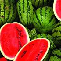 Refreshing '˜Water' melons!