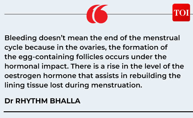 menstrual cycle-Gfx3