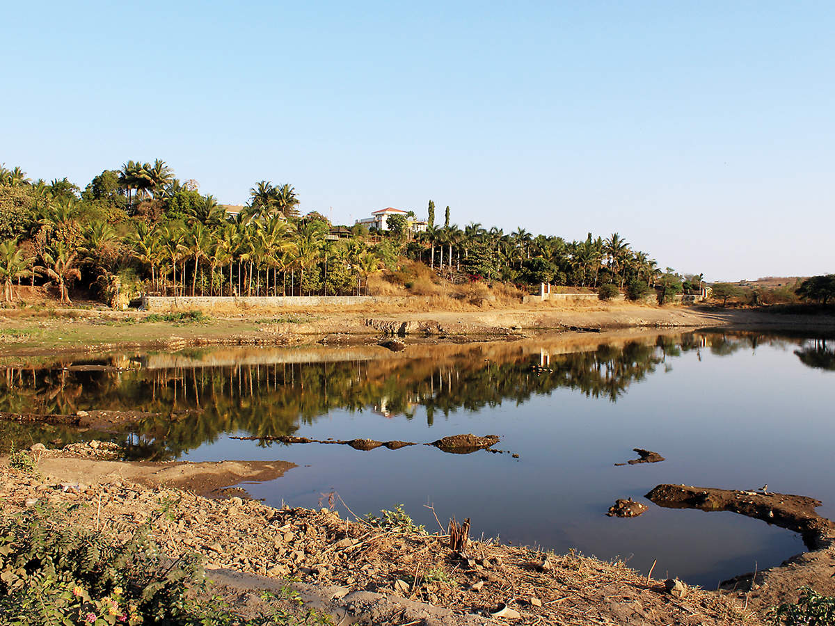 biodiversity: Floating habitat to now revive a lake