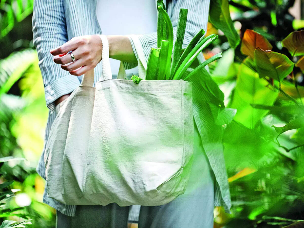 Bengaluru East Zone Implements Penalties for Plastic Bag Usage