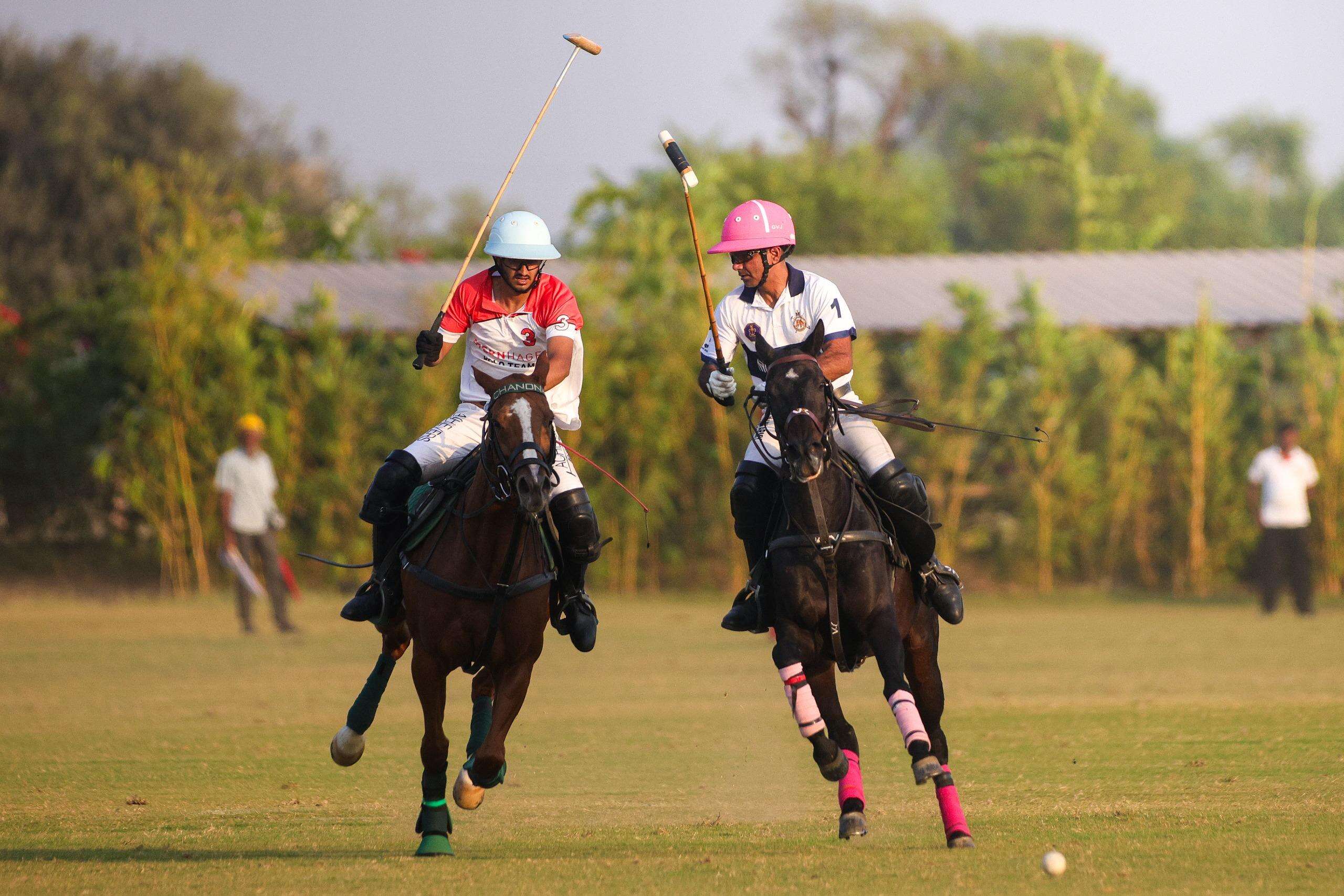 polo-2.jpg