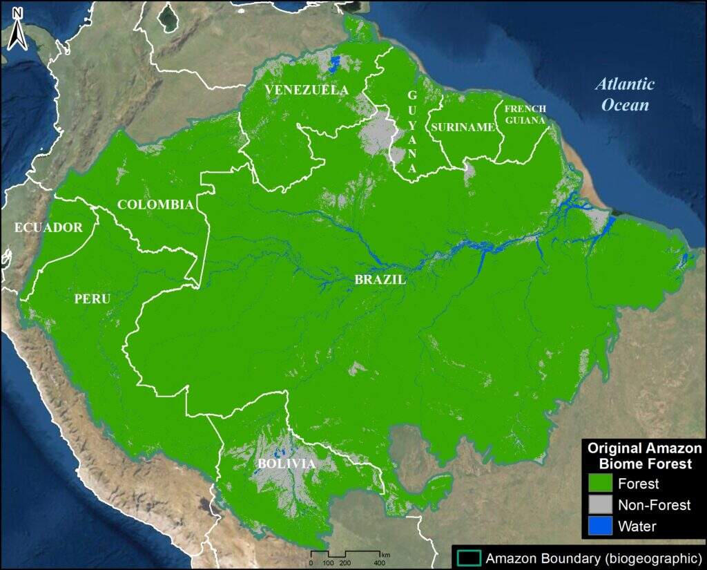 Amazon biome forest
