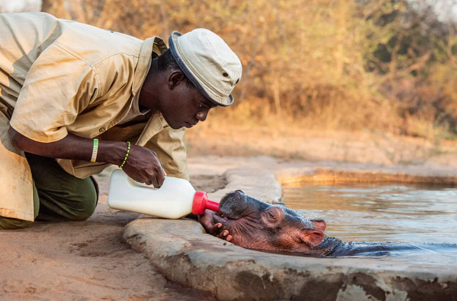 Bumpy was found beside his mother’s body after being orphaned in Kenya.