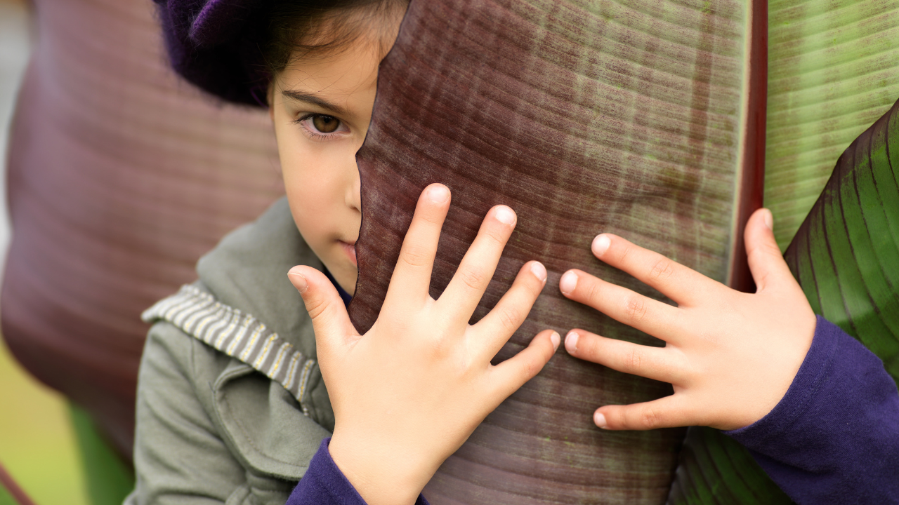 For a young child, the parent is often the person who knows what is happening, who the guests are and whether the situation is safe.