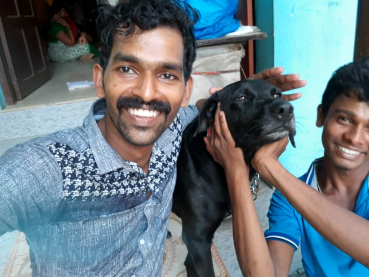 Kerala: Dog brutally thrashed to death at Adimalathura beach | Kochi News -  Times of India