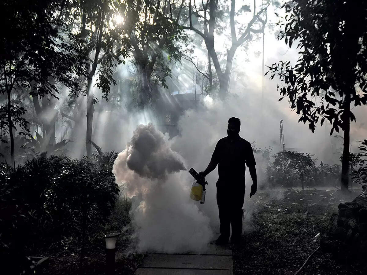 Rising dengue cases put officers on high alert