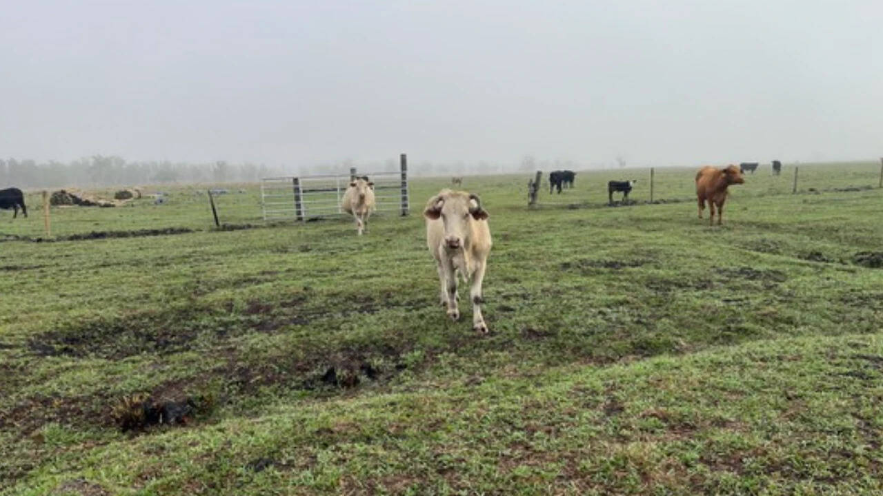 Florida ranch