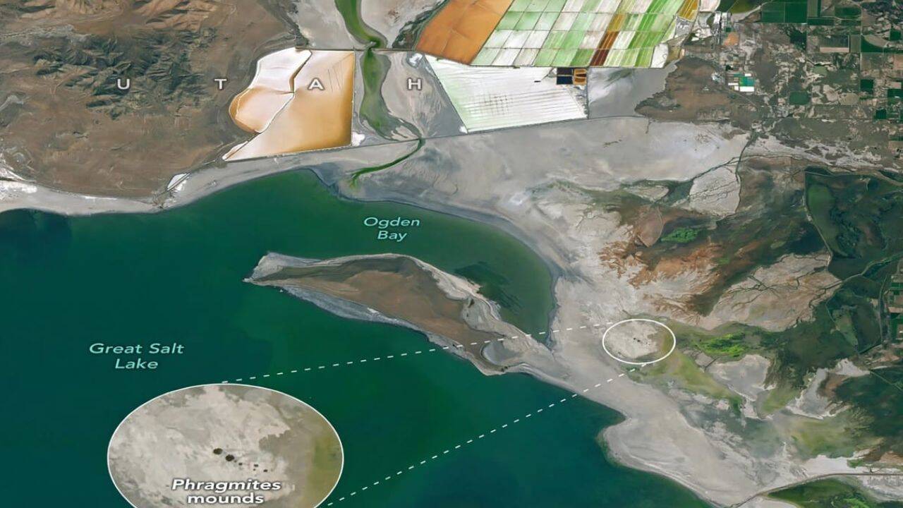 Satellite images uncover strange circular mounds at Great Salt Lake<br>