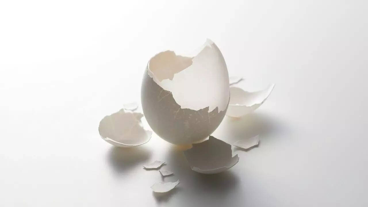 Eggshells can deter lizards by mimicking the presence of predators