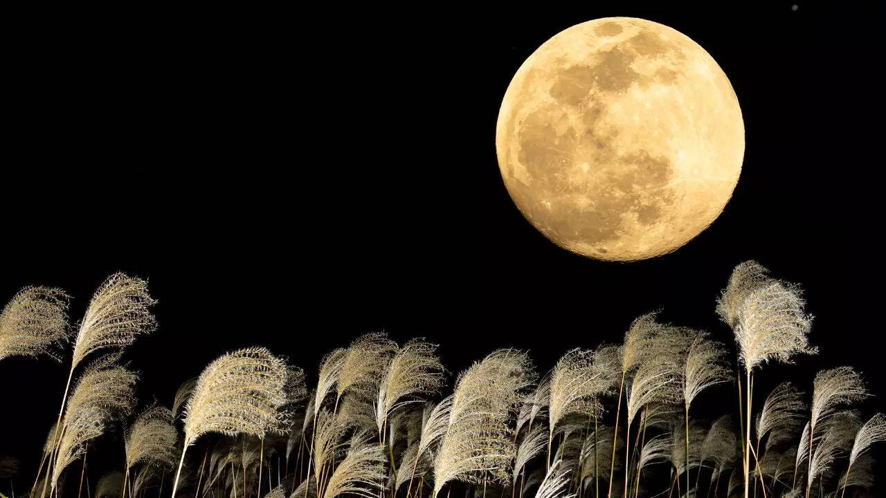 Harvest Moon 2025