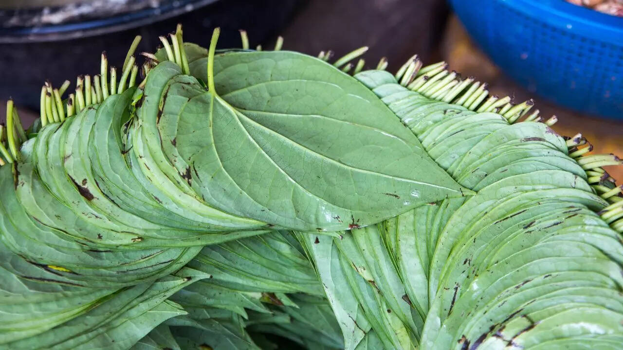 Betel leaves