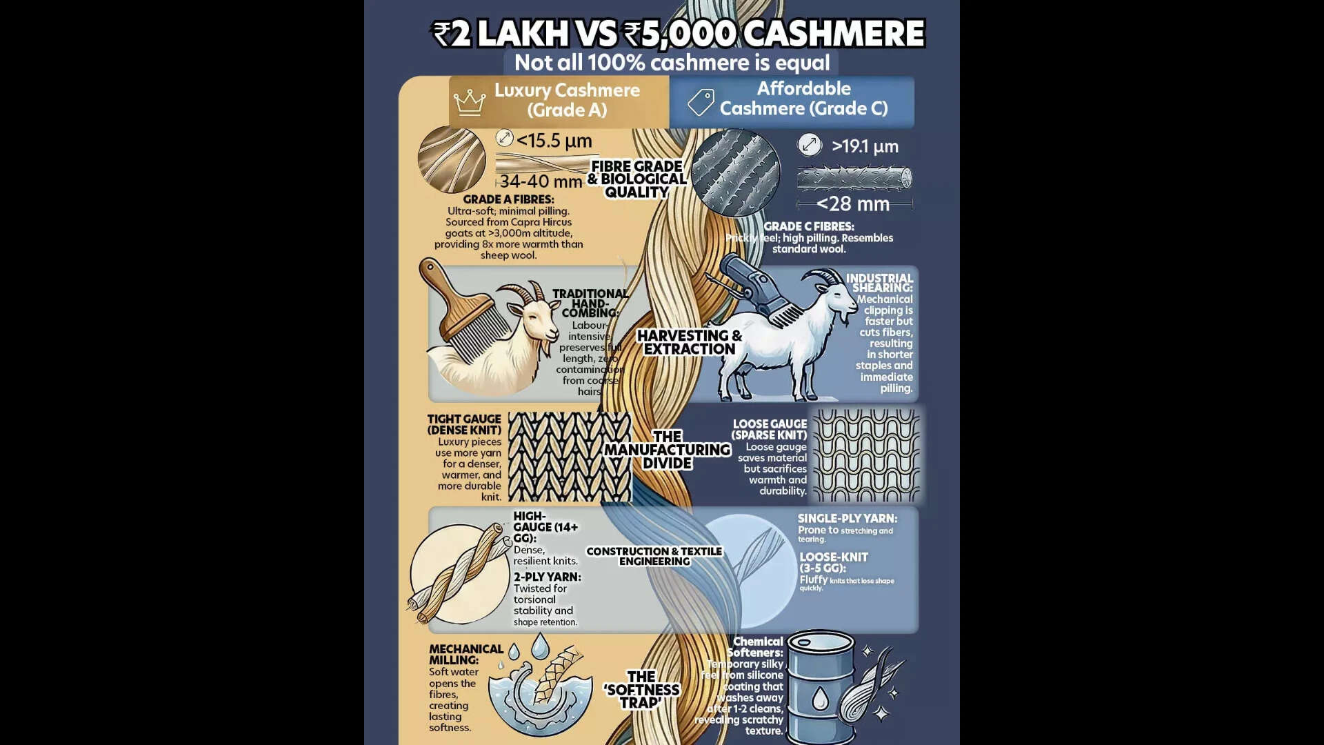 Cashmere cost