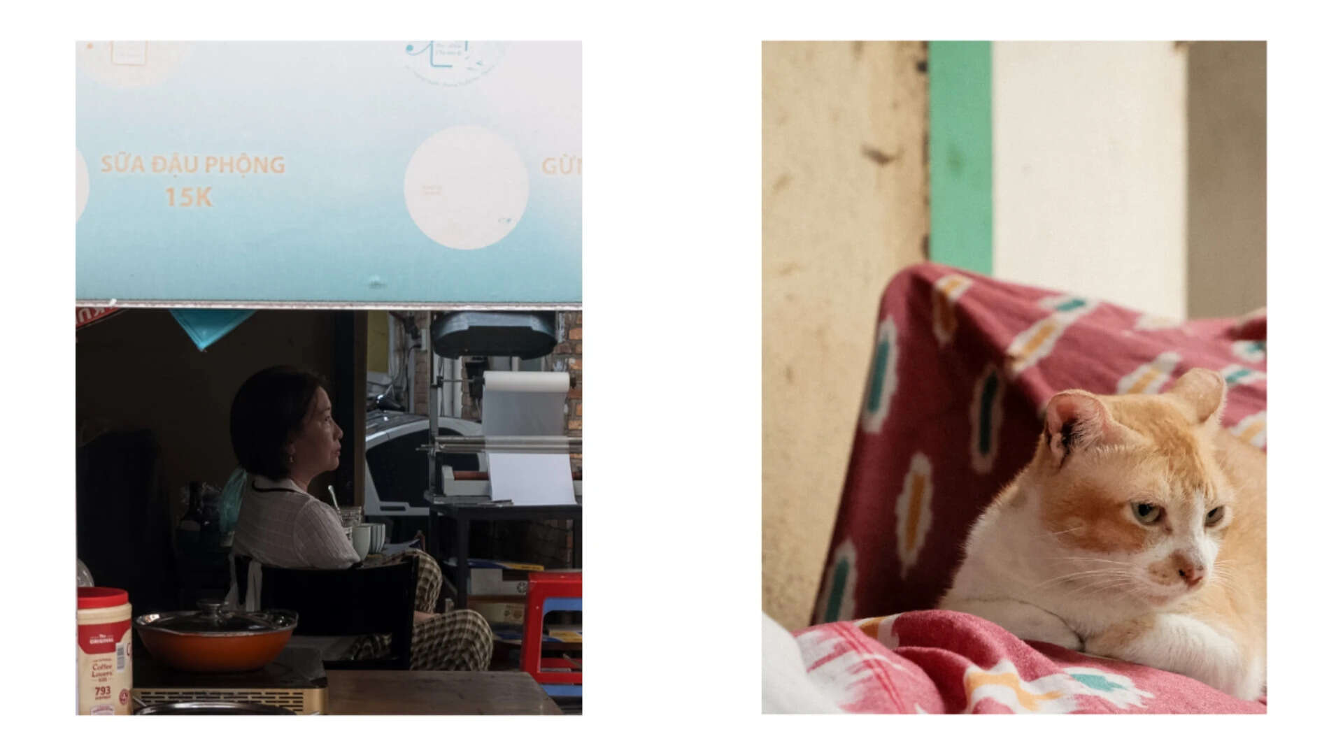 The dial was on Classic Chrome for the cat, Eterna for the café—both frames knew it before I did.