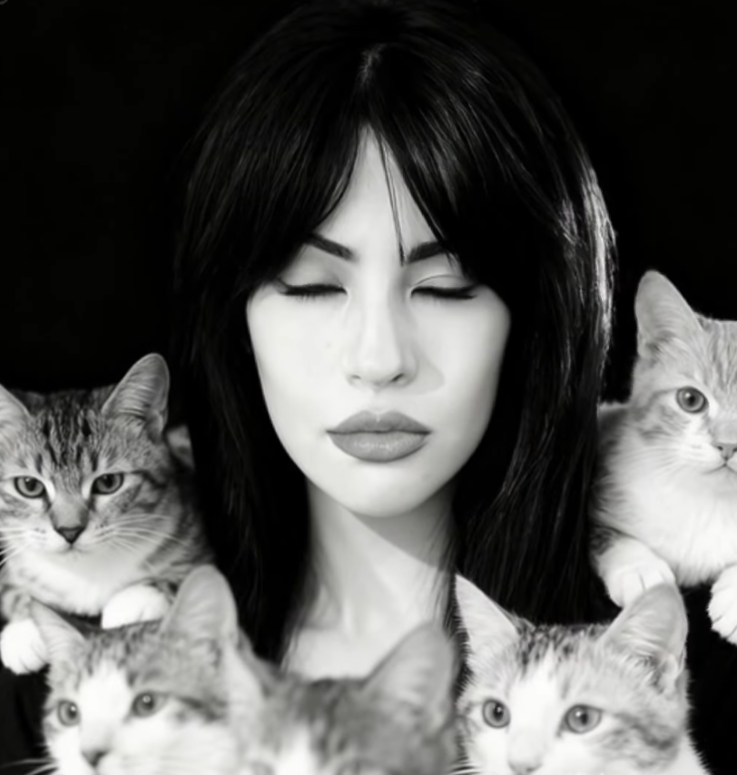 ​ UAE Pet Crisis: Artist Sarah R Jay Launches StraySpotter Platform Amid Iran vs US-Israel War​