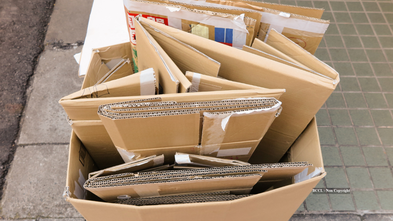 Cardboard Box Scraps