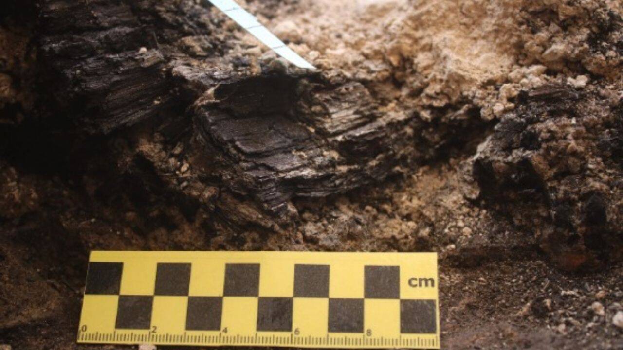 The thick beams discovered were made of sycamore wood and as per experts, once formed part of the roof of an interior courtyardImage credit: Efrat BocherImage source: Tel Aviv University A preserved relic