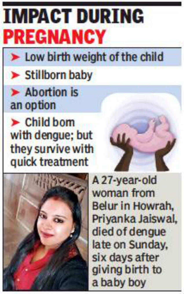 Doctors Pregnant Woman With Dengue Can Deliver Stillborn Kolkata News Times Of India