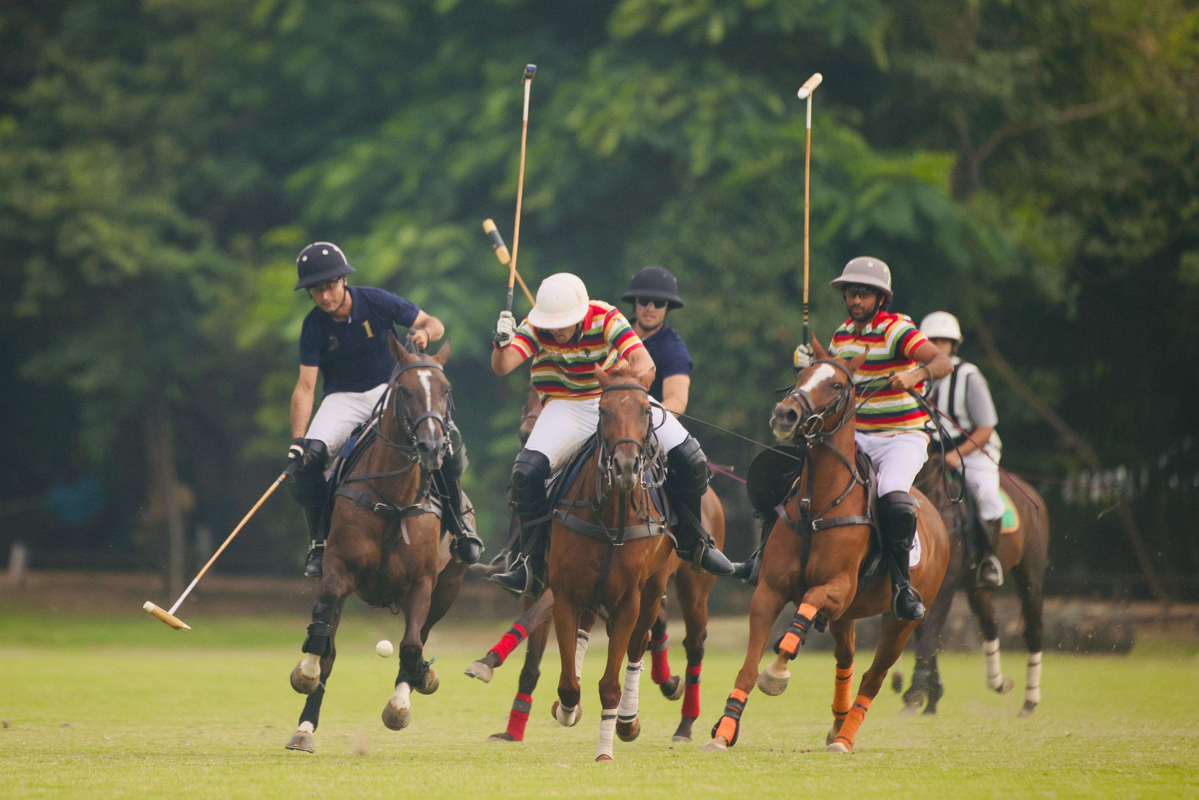 Polo-2.jpg