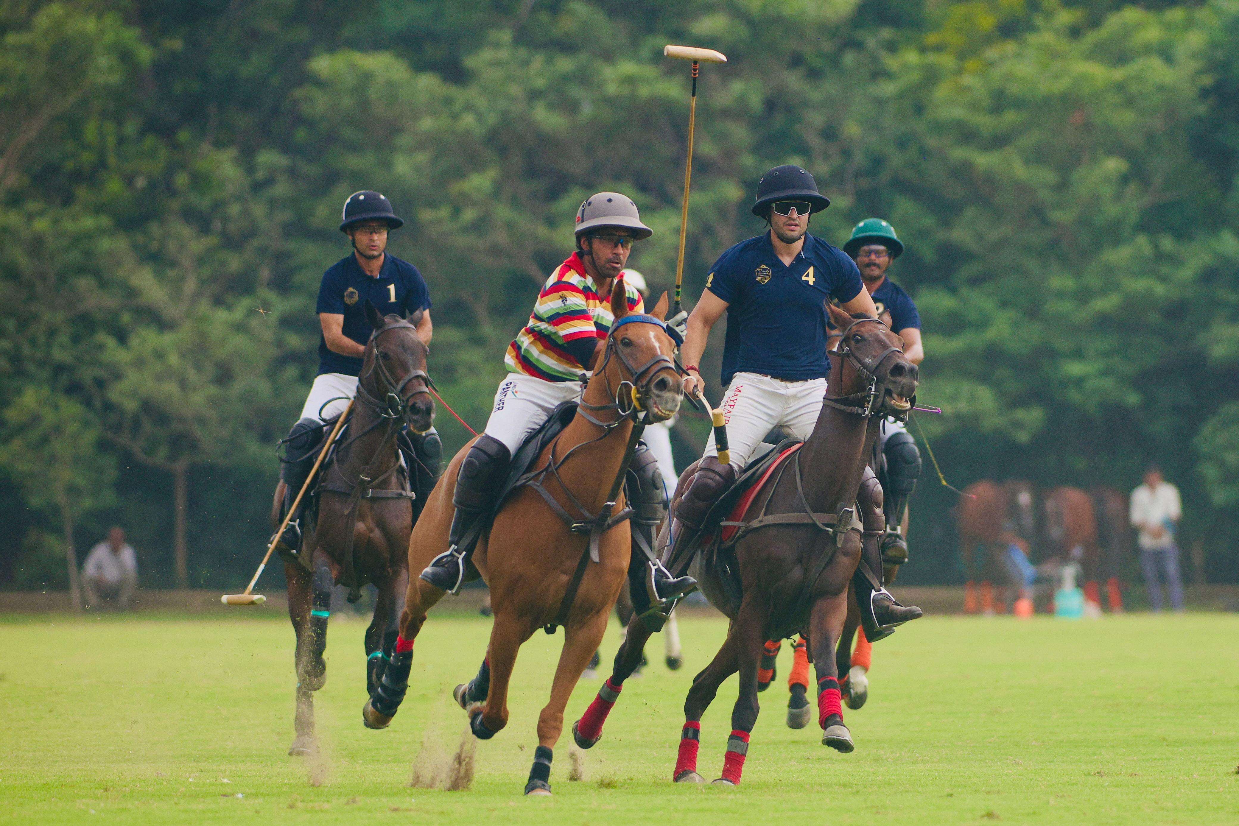 Polo-4.jpg