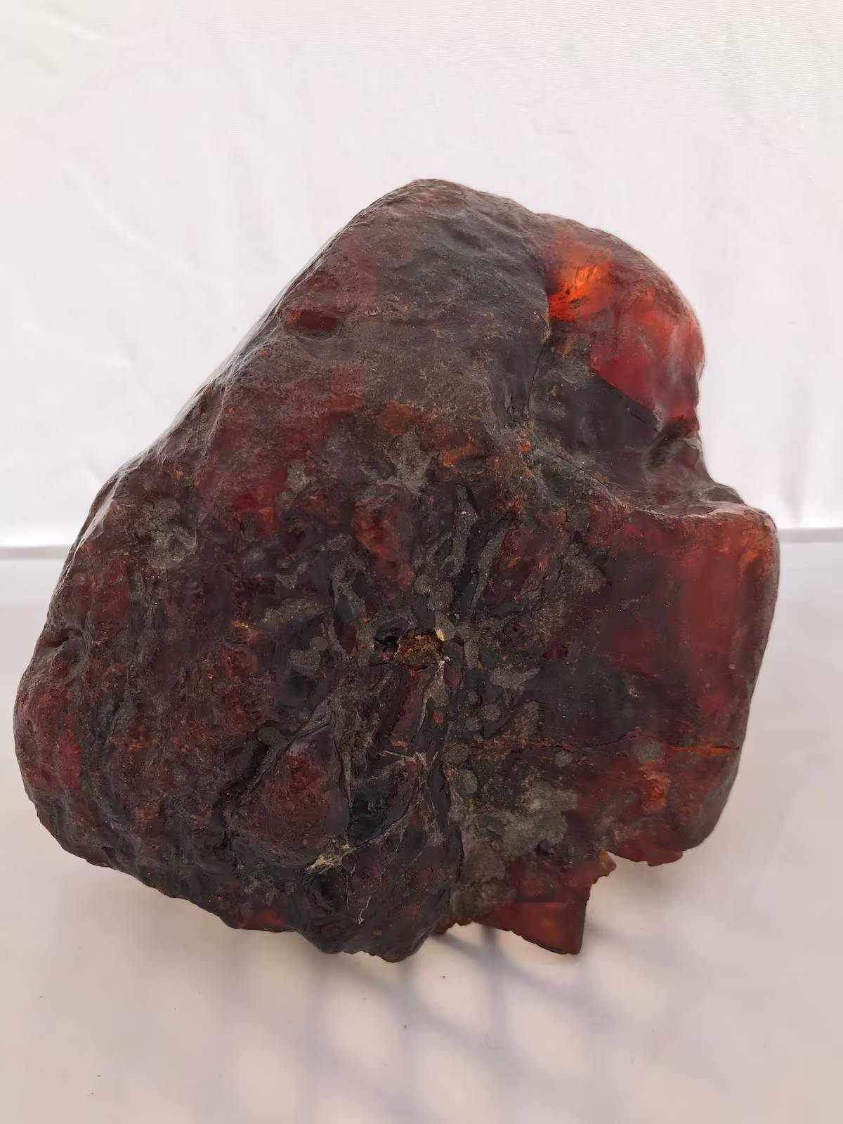 The rare Romanian ‘rumanite’ amber nugget is now preserved at the Buzau County Museum as a protected national treasure.