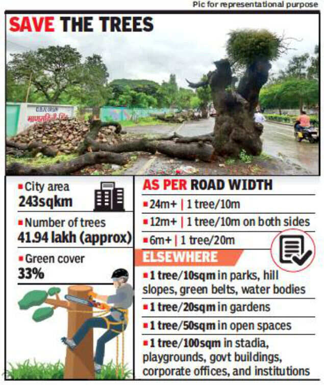 Pune Infrastructure projects, constructions see 14fold rise in tree