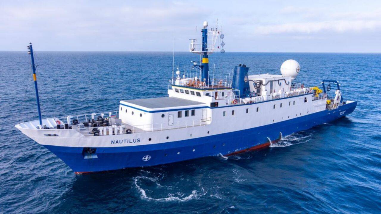 What else did the 2025 expedition discover
