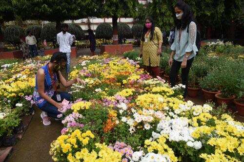 flowers.jpg