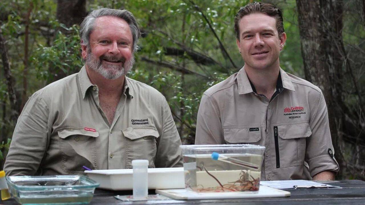 New funding will take the search deeper into Queensland