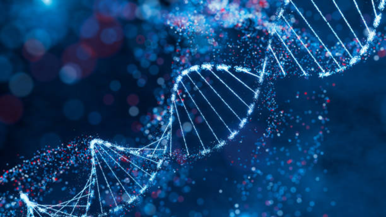 The asteroid that wiped out the dinosaurs 66 million years ago may have also set the stage for ants to conquer the planet, with scientists finding a surprising boost from so-called jumping genes hidden in ant DNA