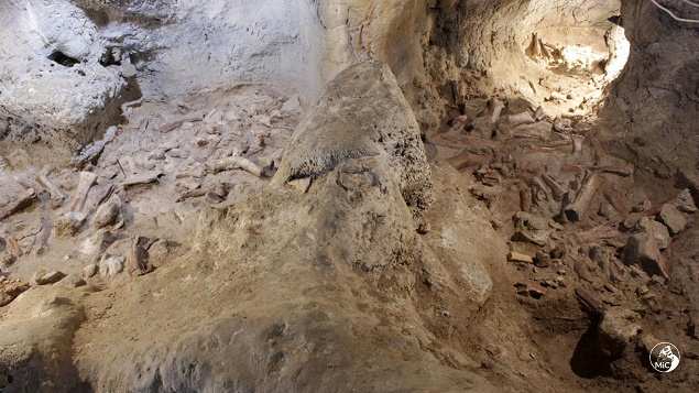, Evidence of nine Neanderthals found in Italian cave &#8211; Times of India, Indian &amp; World Live Breaking News Coverage And Updates