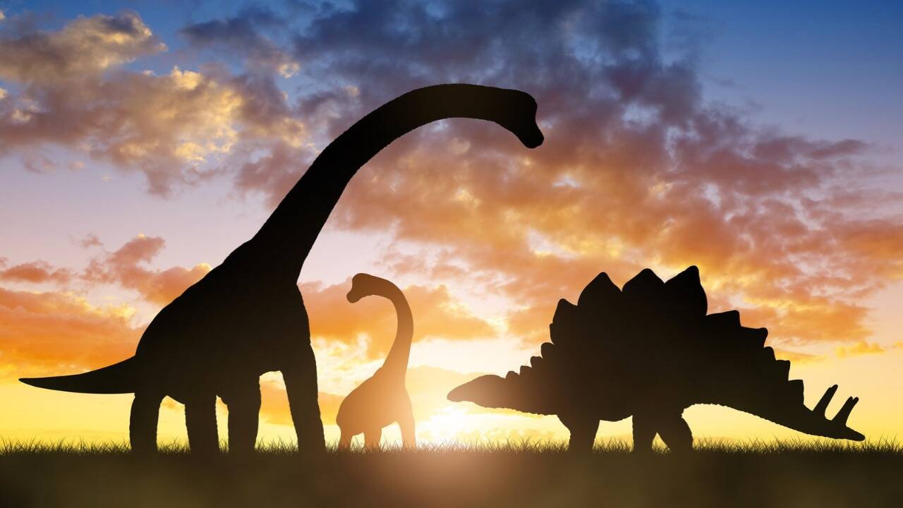 <br>A newly identified bird-like dinosaur from the Cretaceous period may be the first known dinosaur specialised in fruit eating; researchers studied its chewing muscles to reconstruct a diet that differs from the meat and plant foods usually associated with dinosaurs.