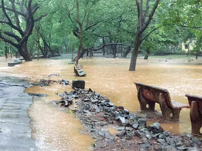 Sanjay Gandhi National Park: SGNP closed for tourists, again