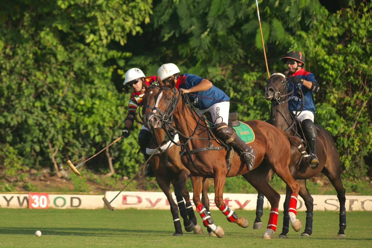 Polo-3.jpeg