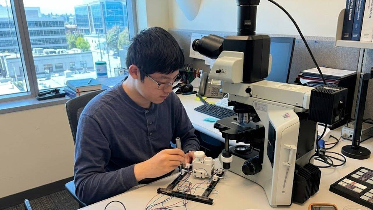 How Ethan Yan developed an affordable AI system to identify leukaemia cells<br>
