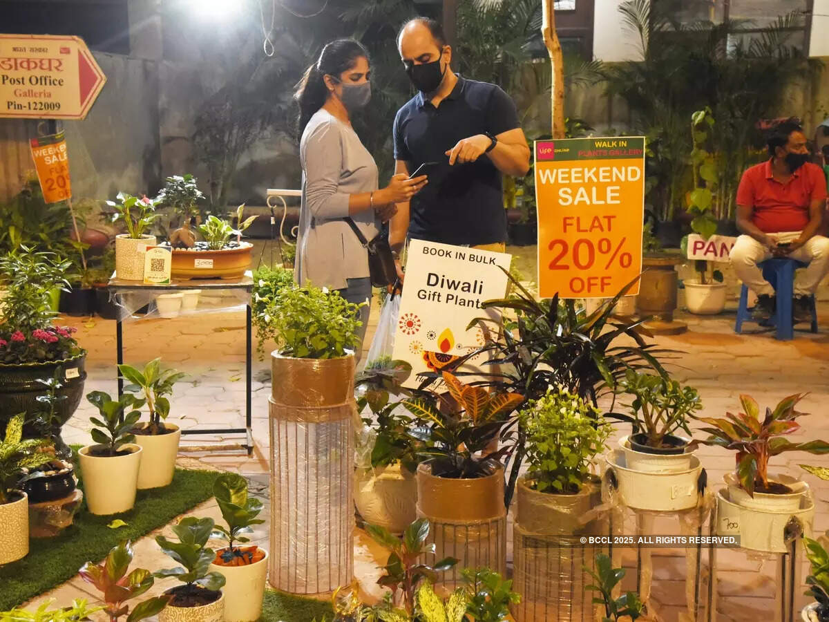 Among the newer popular gifts this year are indoor and outdoor potted plants