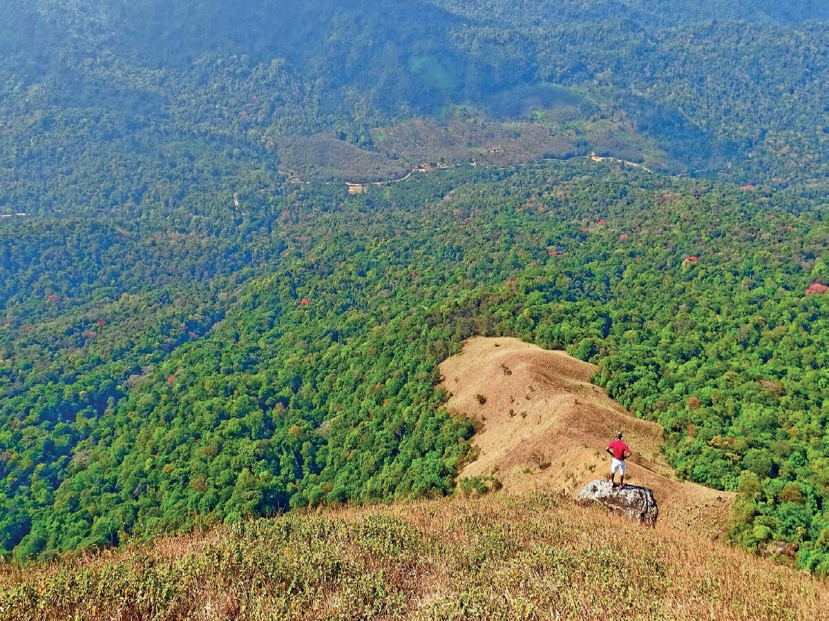 BM Trippin’ Tales: Mandalpatti reopens after four months, reviving Kodagu’s tourism lifeline