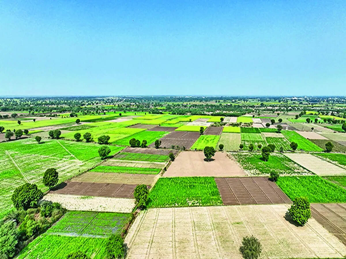 BM Property: Bengaluru tops realty land race