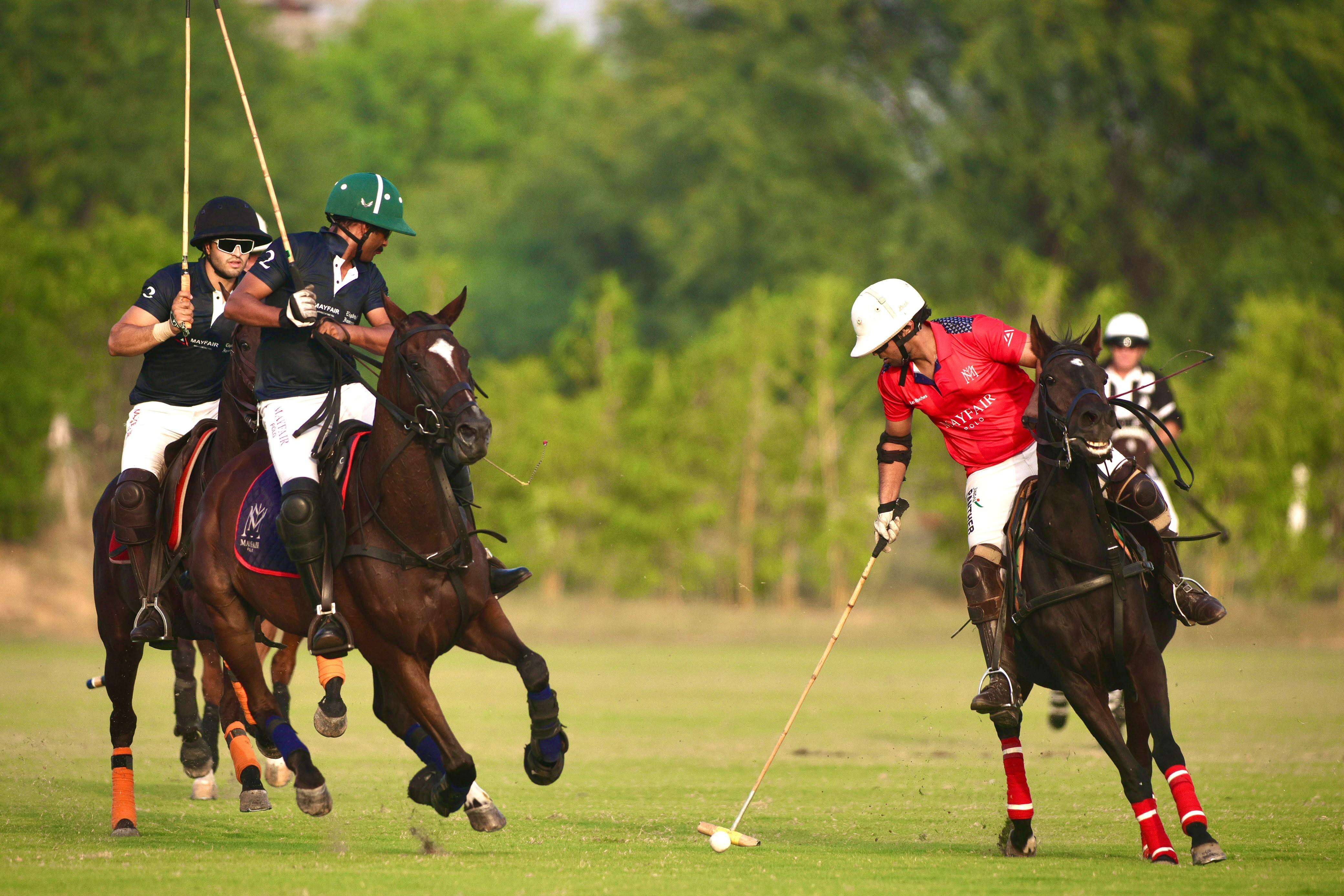 polo-3.jpg