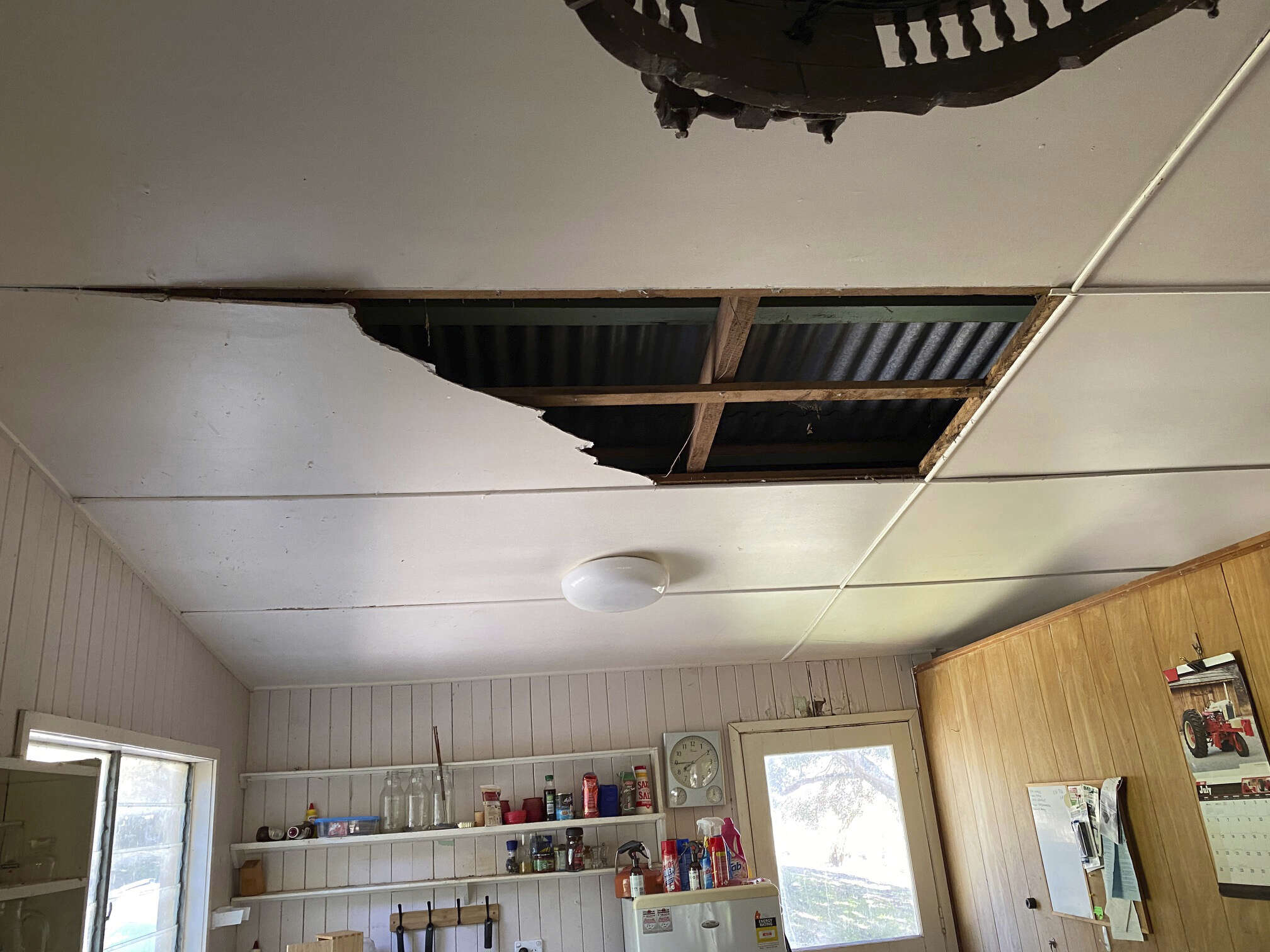 <p><em>In this photo provided by Steven Brown, the roof of a kitchen is damaged after two non-venomous carpet pythons 2.8 meters (9 foot, 2 inches) and 2.5 meters (8 foot, 2 inches) long crashed the ceiling at Laceys Creek, Australia, Monday, Aug. 31, 2020. David Tait returned home and was surprised to discover that his kitchen ceiling had collapsed under the weight of two large pythons apparently fighting over a mate.</em><em> </em><br></p>