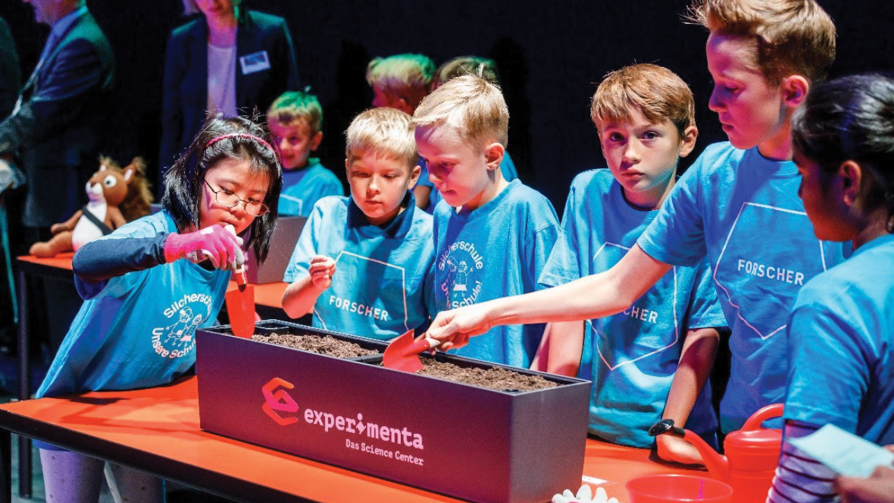 Students planting the seeds