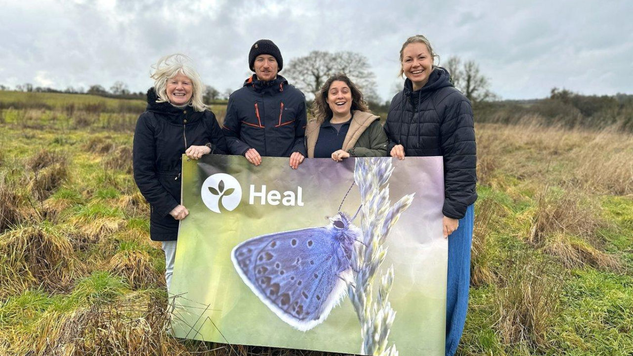 How a UK dairy farm became a rewilding project