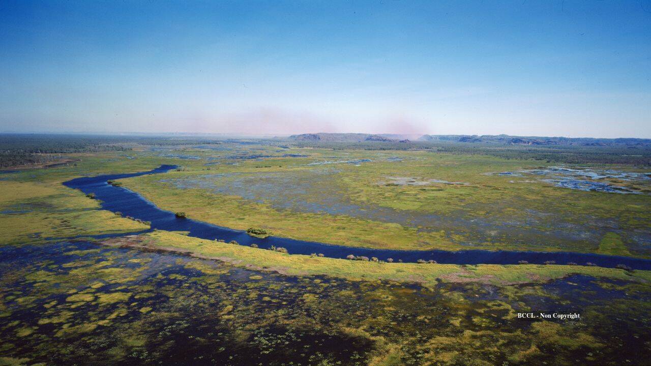 wetland