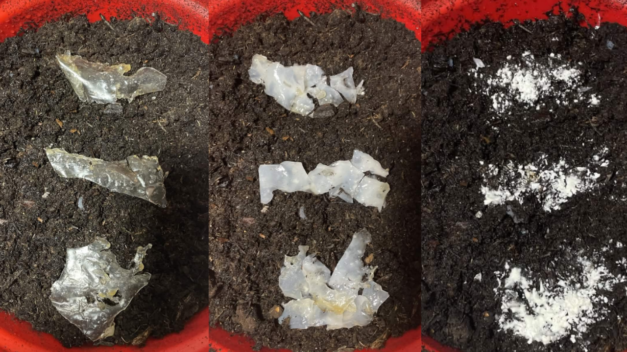 Eco Purge aims to release specialised enzymes as it biodegrades, targeting certain microplastics in the surrounding environment.
