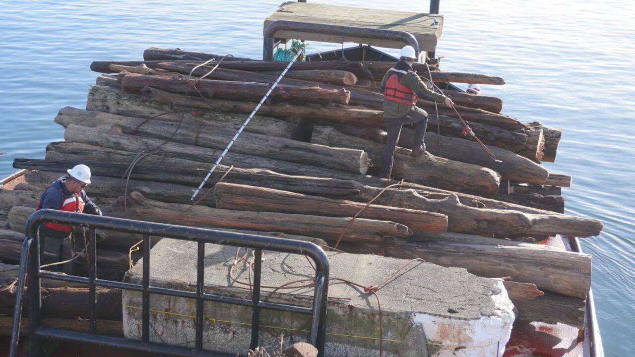 How does the recovered wood find another purpose