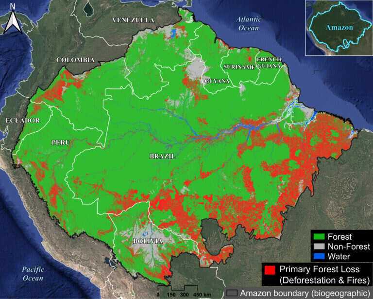 Forest loss in Amazon