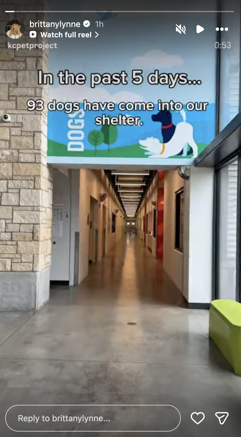 Brittany Mahomes continues her support for KC Pet Project’s dogs<br>