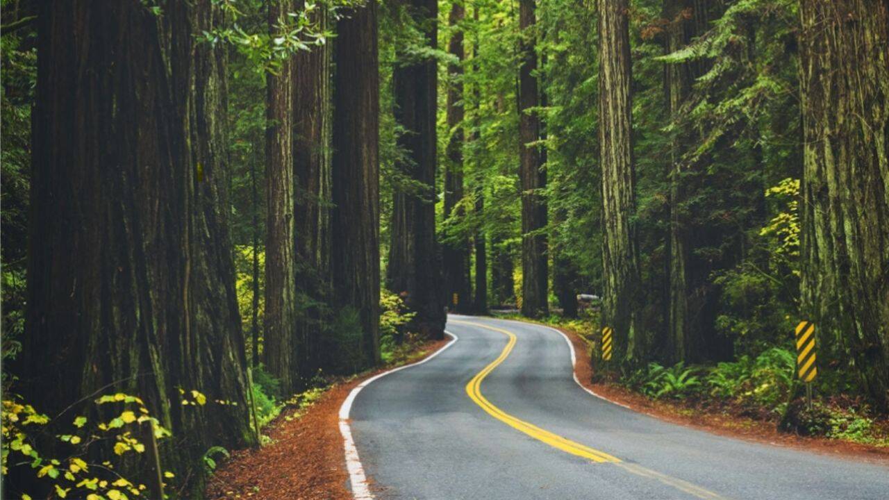 The rural Northern California town is surrounded by redwood trees and lies between major highways.